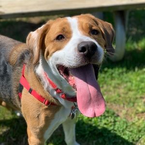 Meet your Posher, Nathan